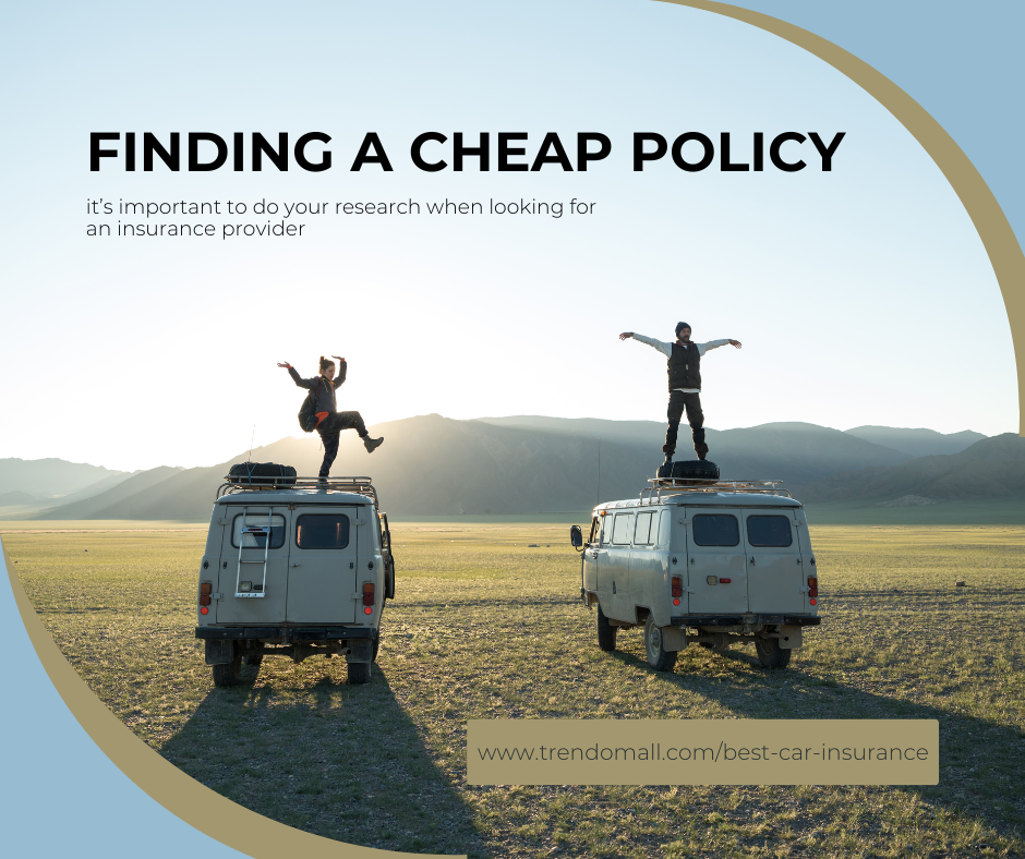 Finding a Cheap Policy